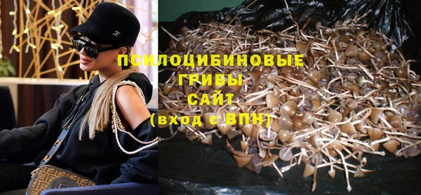 ПСИЛОЦИБИНОВЫЕ ГРИБЫ Сясьстрой