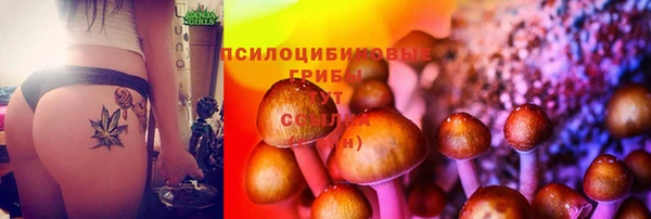 гашиш Тавда