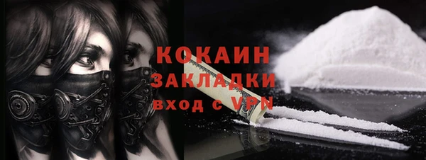 ПСИЛОЦИБИНОВЫЕ ГРИБЫ Арсеньев