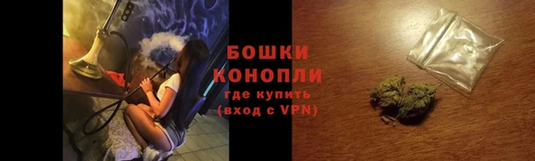 ПСИЛОЦИБИНОВЫЕ ГРИБЫ Арсеньев