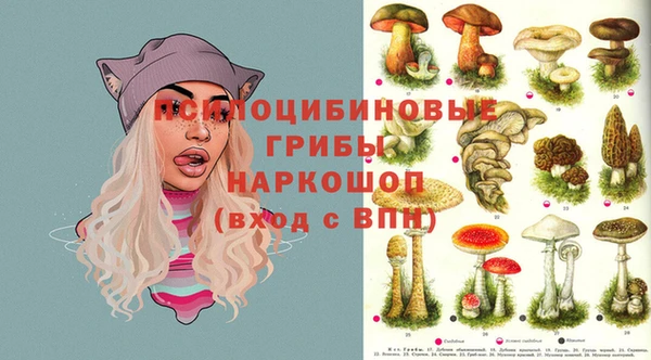 соль курить ск Аркадак