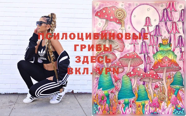 ПСИЛОЦИБИНОВЫЕ ГРИБЫ Арсеньев
