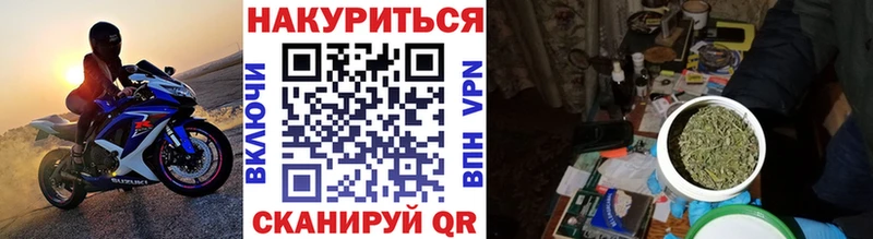 где можно купить   Белозерск  Каннабис ГИДРОПОН 